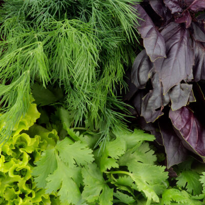 6 Nutritional Tips for Those with High Cholesterol Levels