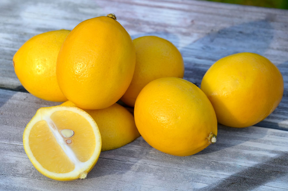 6 Foods That Are Effective in Tackling Dandruff